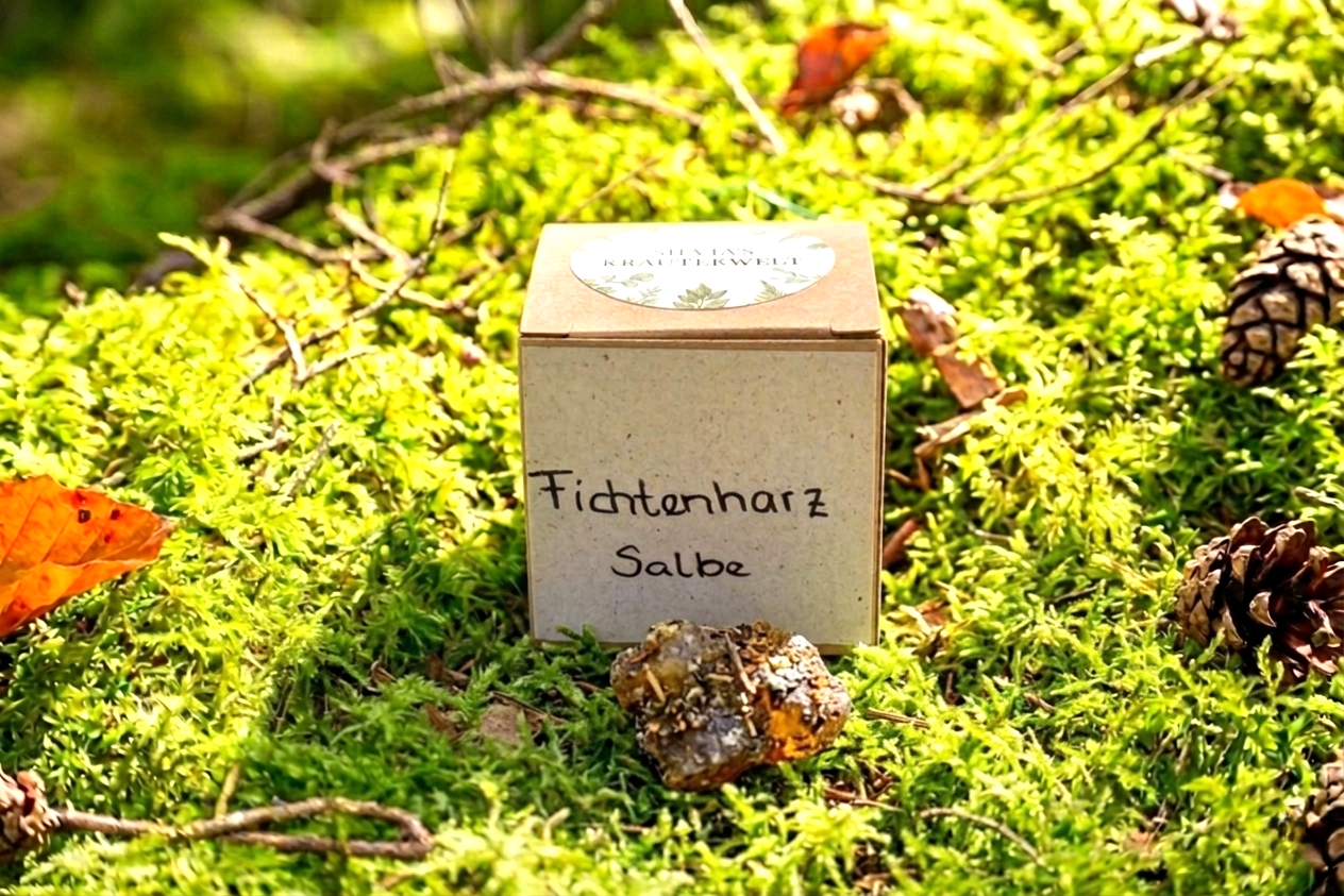 Fichtenharzsalbe – « das Gold des Waldes »