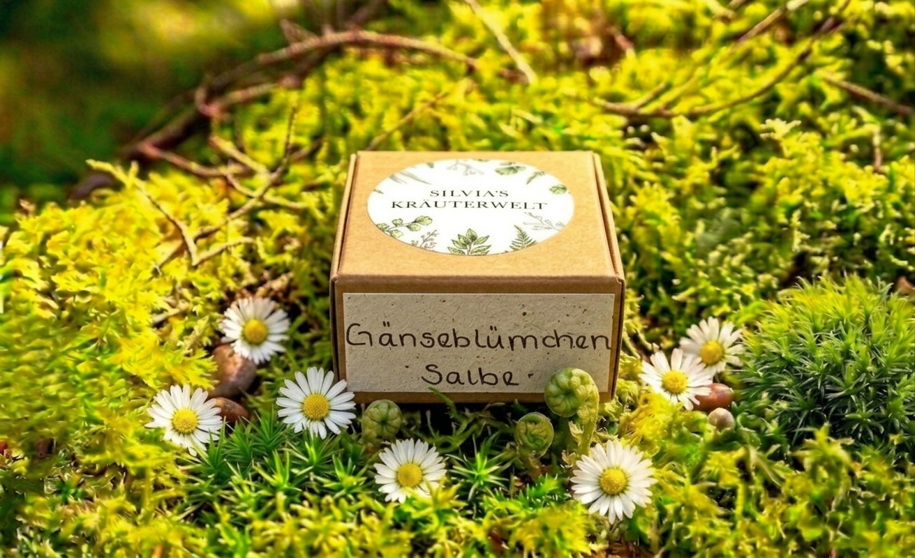 Gänseblümchensalbe « die Göttin des Frühlings » 5ml