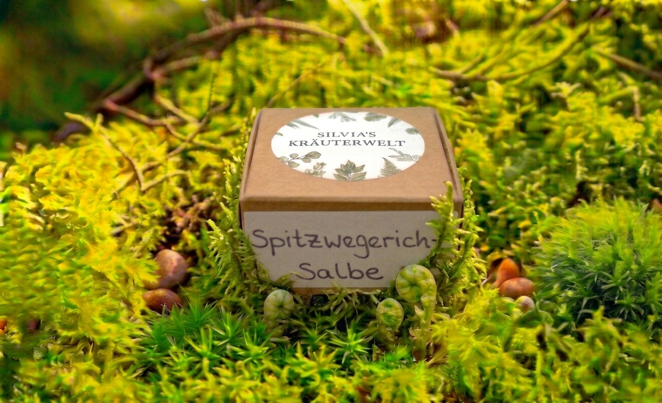Spitzwegerich Salbe « die stehengelassene Strassenbraut » 5ml